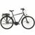 VTC électrique TREK District+ 1 Lithium Grey 500Wh
