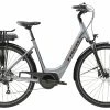 VTC électrique TREK Verve+ 1 Lowstep Galactic Grey 500wh