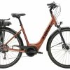 VTC électrique TREK Verve+ 1 Lowstep Penny Flake 400wh